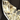 Gold Modern Butterfly Shape Wall Sconce