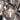 Modern Creative Crystal E14 Chandelier