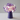 Clizia Flower Touch Lamp (Purple)