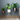 plant pots