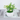 Simulated Tree Pot