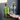 bottle vase 