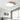 Ceiling Light