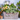 Khaki  beautiful Rectangular Flower planter pot