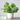 Artificial Plants Leaf Small Simulation Pot