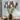 flower vase on tabletop with beautiful wall decor