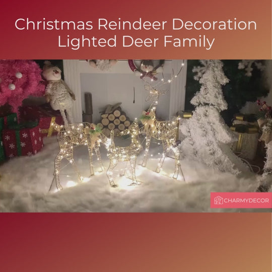 Lighted Deer Family Decoration 