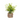 Wood Planter tree 