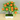  Grass Plants Pot