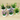  Tree Pot