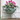 flower stand with pot