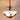 rustic ceiling light 