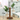 Plant Vase
