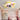 Creative Aircraft Shaped Ceiling Fan Light