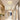 Ceiling light