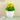 flower plant