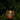 night light