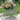 Green Flower Stand with pot