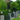 Globe Glass Shade Outdoor Post Light