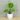 artificial plant