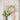 Classical Floral Shape Wall Clock Decor