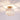Ceiling Light