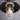 Single Head Vintage Waterproof Hanging Light