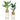 Modern Golden Metal Plant Stand