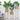 three planters in a living room