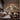Moroccan Round Bamboo Wall Decor Basket