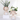 plant pots