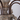 Vintage Cottage 6-Light Distressed Wood Chandelier 