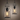 Ceiling light 