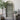 Arch Farmhouse Floor Mirror