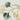 Ginkgo leaves design