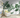  Green Tropical Leaves Wallpaper 