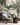  Palm Trees Banana Leaf Wallpaper
