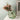 Glass Bag Flower Vase