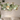 Modern Abstract Lotus Leaf Wall Accent