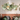 Modern Abstract Lotus Leaf Wall Accent
