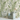 Botanical Floral pattern wallpaper Mural