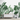Leaves Wallpaper Mural