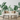 Tropical Leaves Wallpaper Mural