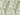 Botanical Floral pattern wallpaper Mural